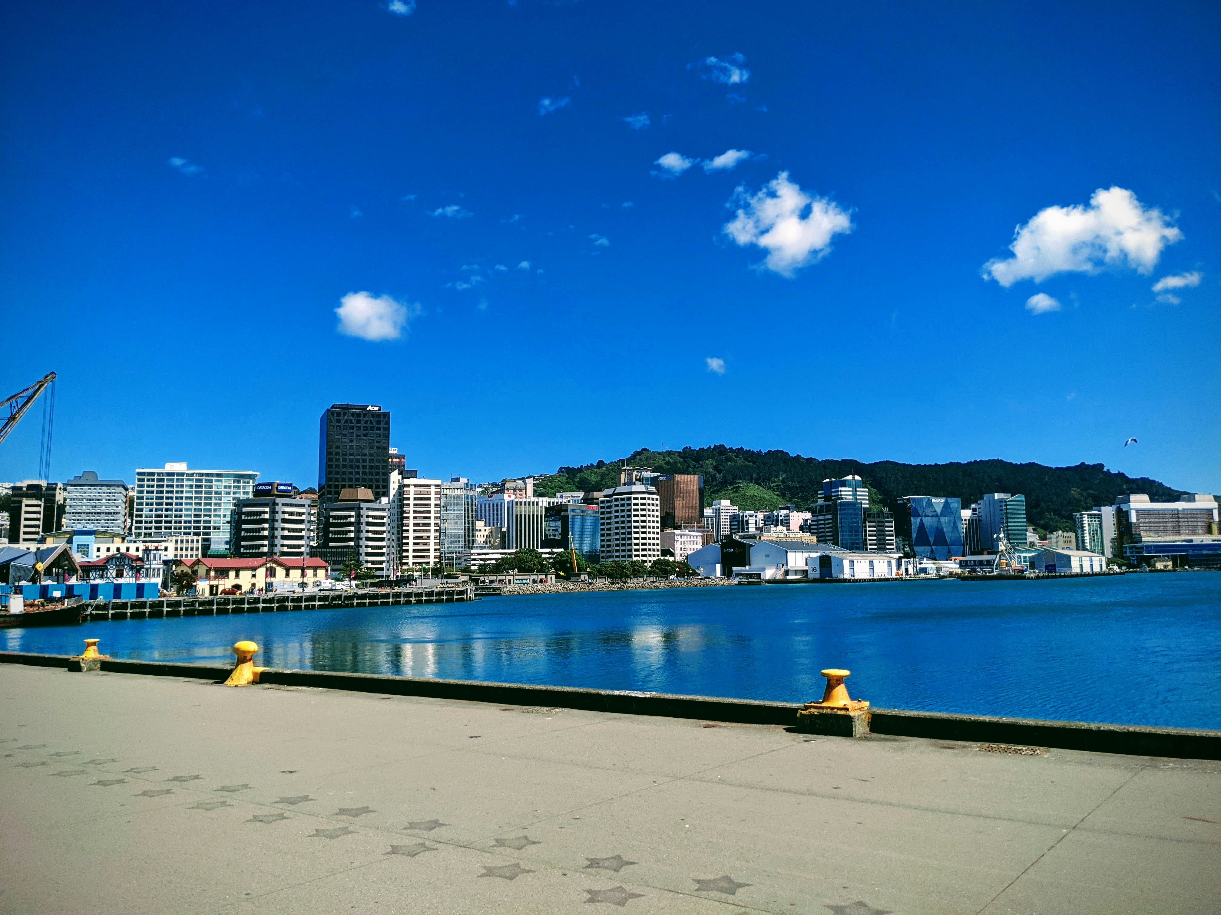 Wellington waterfront and city skyline beneath a bright blue sky